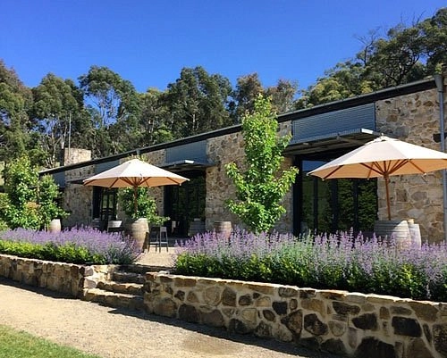 Golding winery